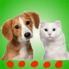 Cat  dog sounds: Perfect app for pets and puppies