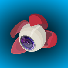 Litchi for DJI Mavic Phantom Inspire Spark for Android Download