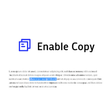Enable Copy