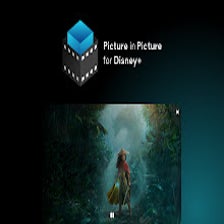 Disney+ Picture in Picture for Google Chrome - Extension Download