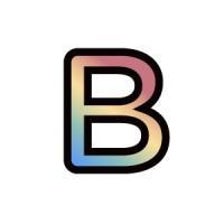 Icon of program: Blink Identity