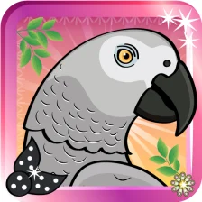 Fancy Parrot Dress Up Game