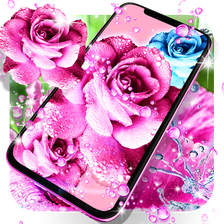 Rose pink water drop live wallpaper