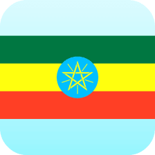 Amharic english translator