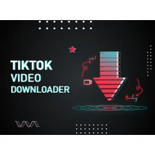 Video Downloader for TikTok