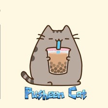 Pusheen Cat Wallpaper