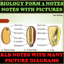 Biology Form 3 Notes Diagrams for Android - Download