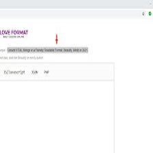 Allow copy for Google Chrome - Extension Download