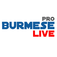 Burmese Live Pro