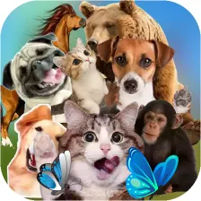 Animal Sticker - WAStickersApp
