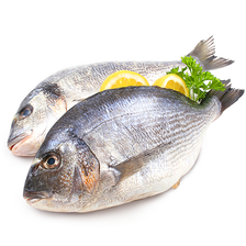 Fish Recipes