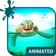 Cute Turtle Wallpaper Theme
