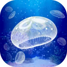 Jellyfish Pet