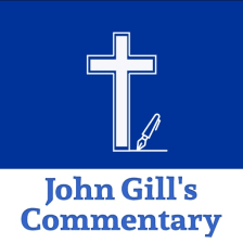 John Gills Bible Commentary.
