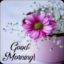 Good Morning Flower Wishes