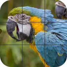 Birds Jigsaw Puzzle