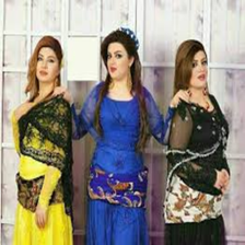 جلی کوردی ٢٠٢٠