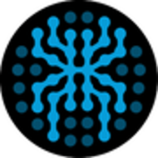 Icono de programa: SpiderFoot