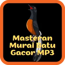 Masteran Murai Batu Gacor MP3