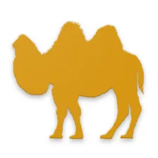 Camel German Learn German