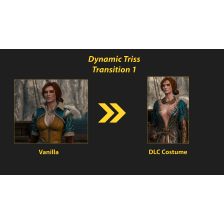 Dynamic Costumes - Triss