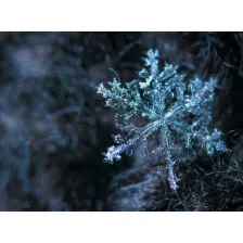 Winter Wallpaper HD & Videos