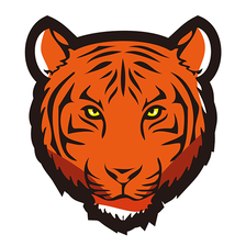 TIGERSECU HD VIEWER APK for Android - Download