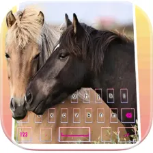 Pony horse love keyboard