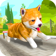 Pet Escape Rush: Running Adventure