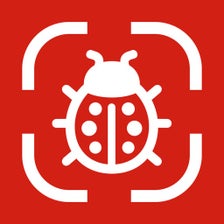 Insect Identifier: AI Scanner