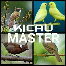 Master Kicau Burung Offline