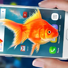 Fish In Phone Aquarium Joke