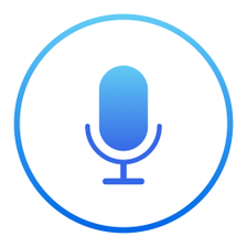 iRecord: Transcribe Voice Note