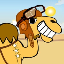 Camel Racing