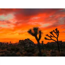 Sunset Wallpaper HD & Videos New Tab