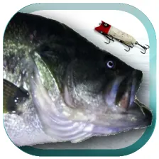 Lure Nushi Fishing