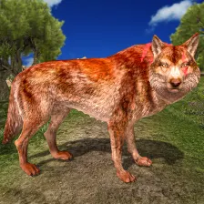 wolf  werewolf Simulator game
