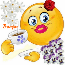 Bonjour Bonsoir Bonne Nuit para Android - Descargar