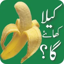 WASticker Funny Urdu Stickers