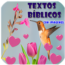 Textos Bíblicos con Imágenes