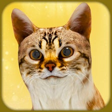 Pregnant Cat  Cute Kitty Game