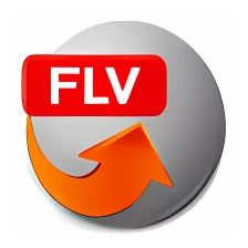 Domino FLV Video Converter