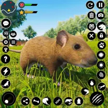 Wild Mouse Family Sim 3D