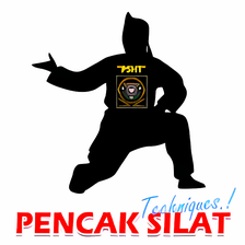 Pencak Silat Techniques