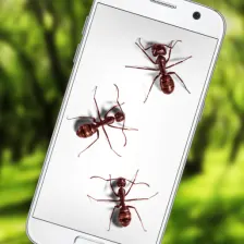 Ants on Screen Funny Joke - iAnts