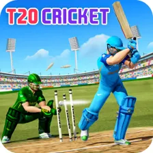 T20 World Cricket Game
