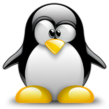 Linux Deploy