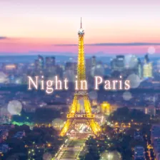 Beautiful Theme-Night in Paris