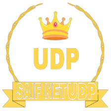 SAIF NET UDP