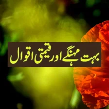 Urdu Best Aqwal e Zareen